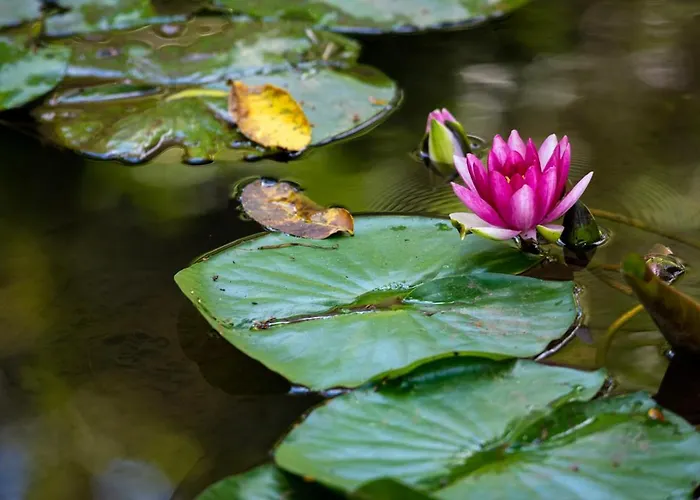 Hotel Park Kaylaka 4*